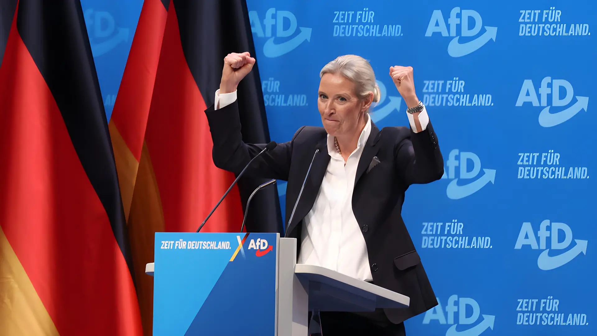 AfD Başkanı: 